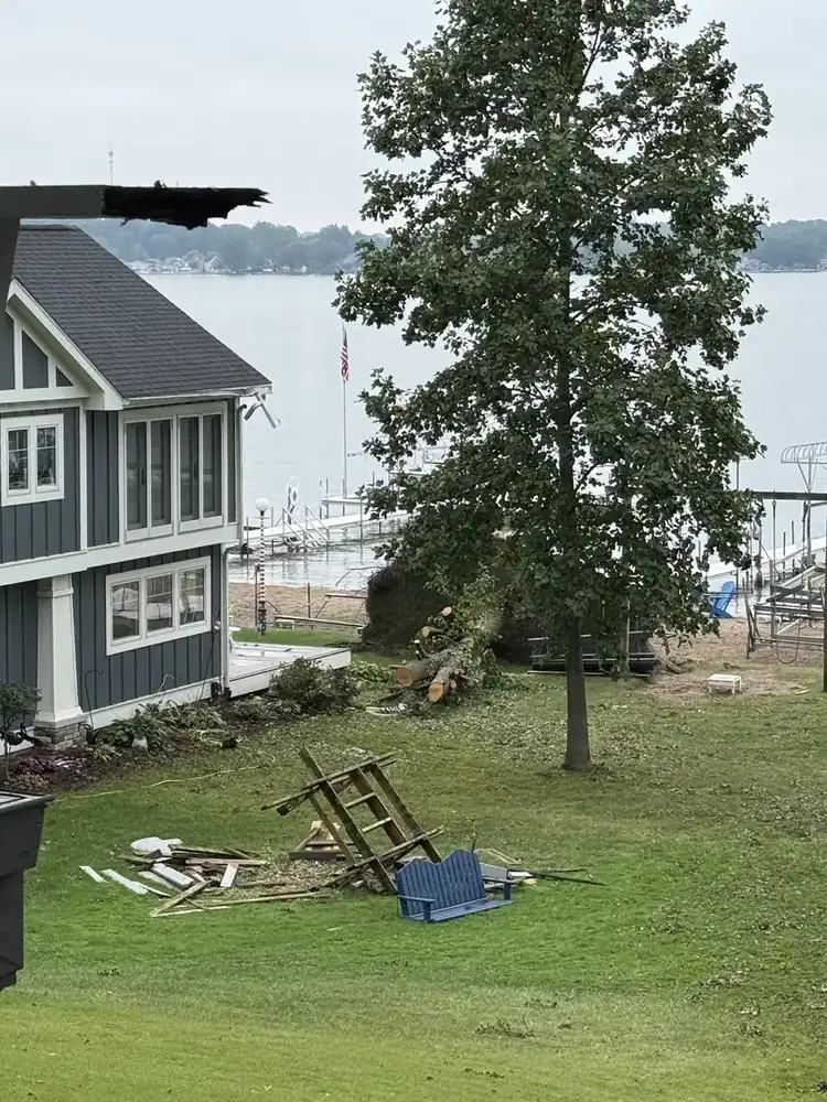 Fallen tree at a lakeside property