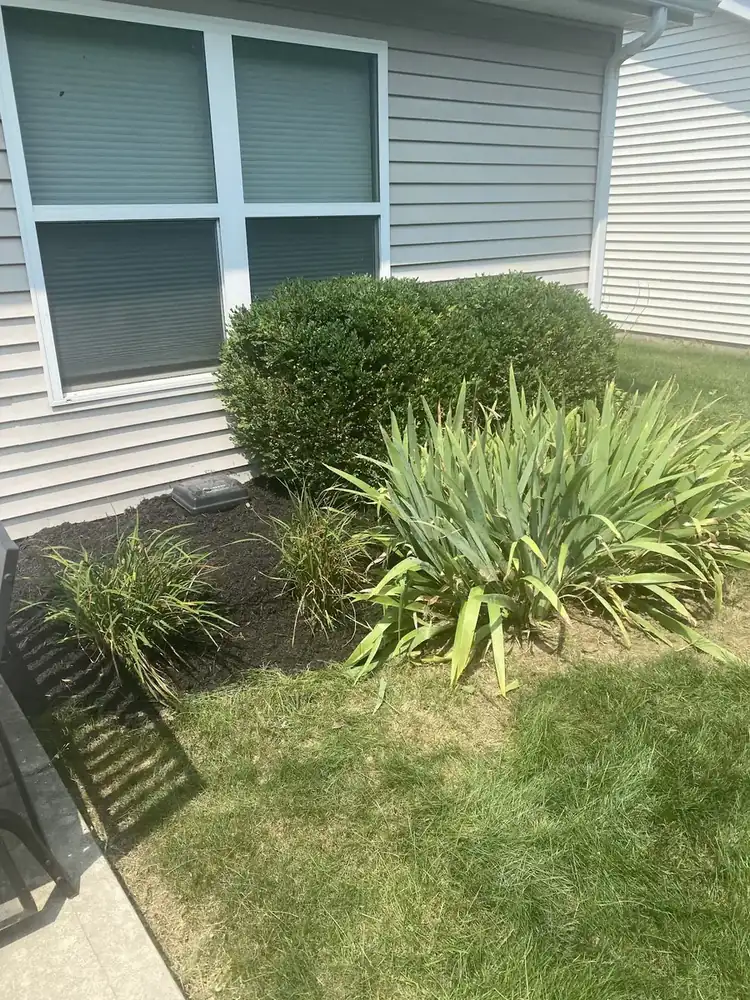 Side yard planting bed