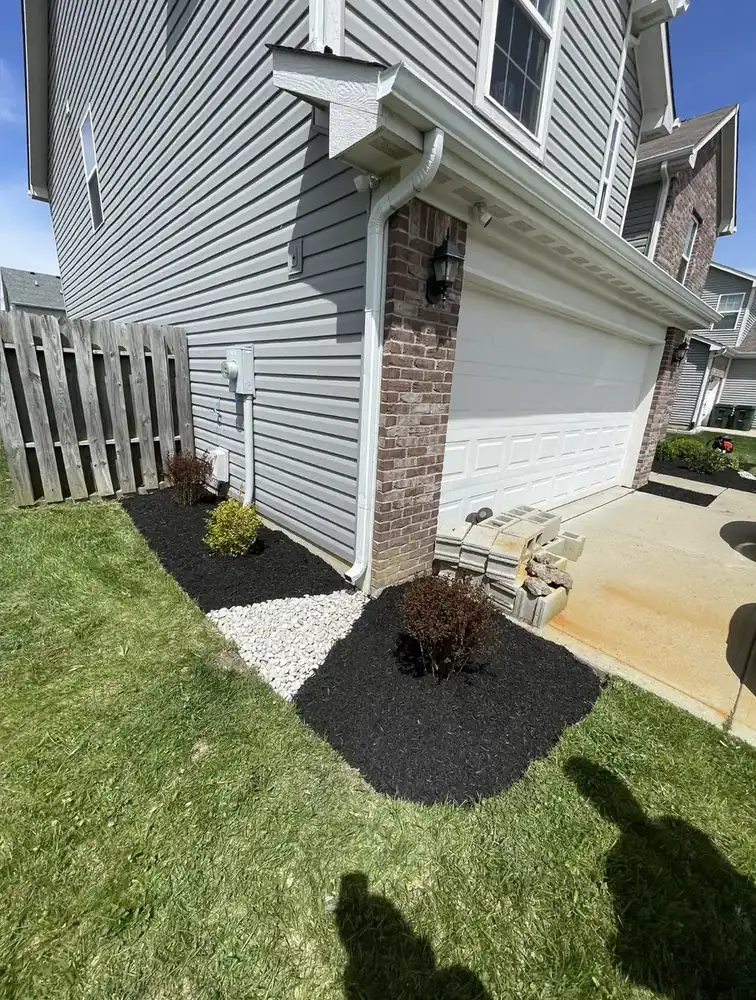 Side yard bed after a cleanup
