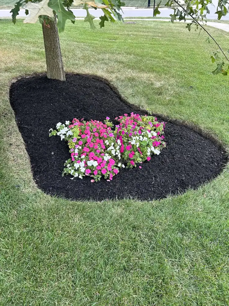Tree ring flower bed with fresh mulch and annuals