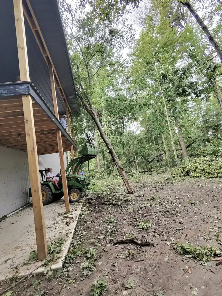 Tree work beside a home